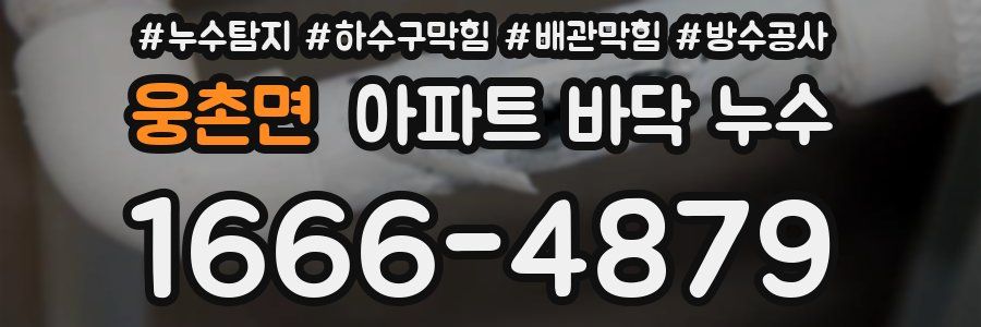 웅촌면 아파트 바닥 누수