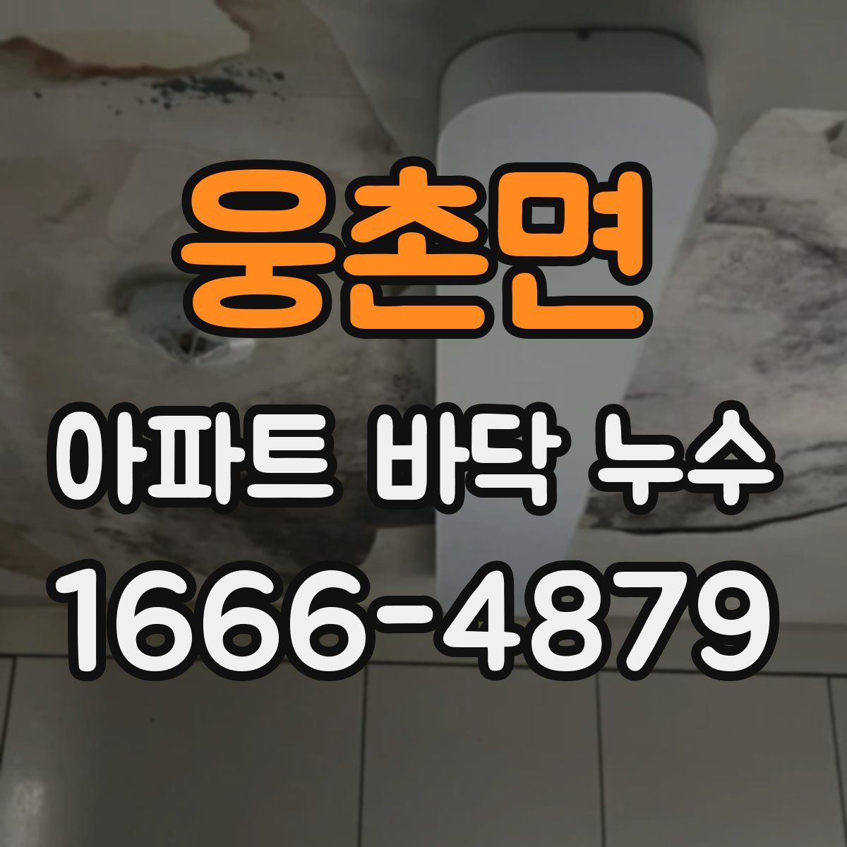 웅촌면 아파트 바닥 누수