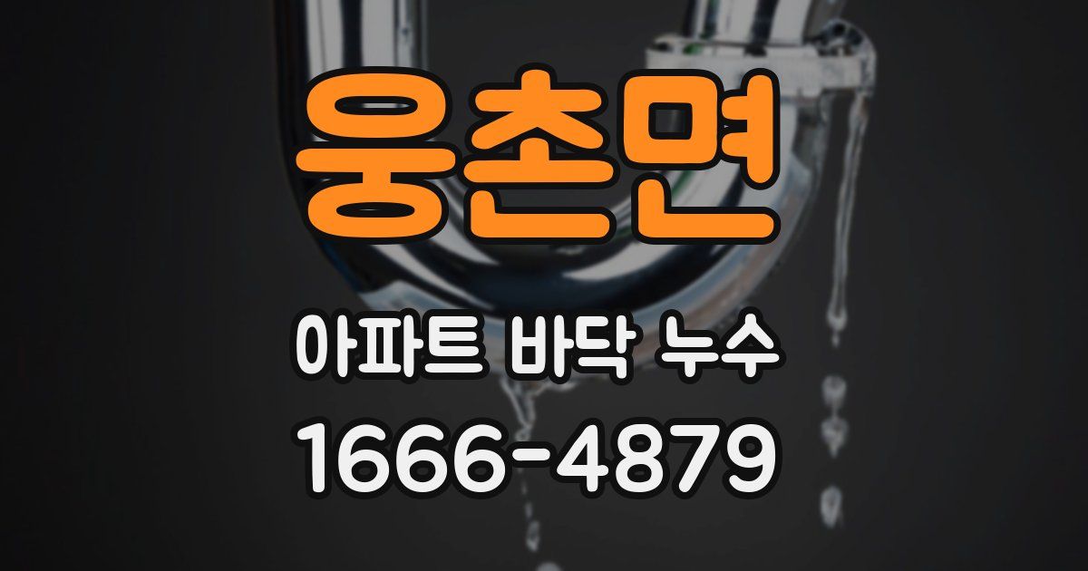 웅촌면 아파트 바닥 누수