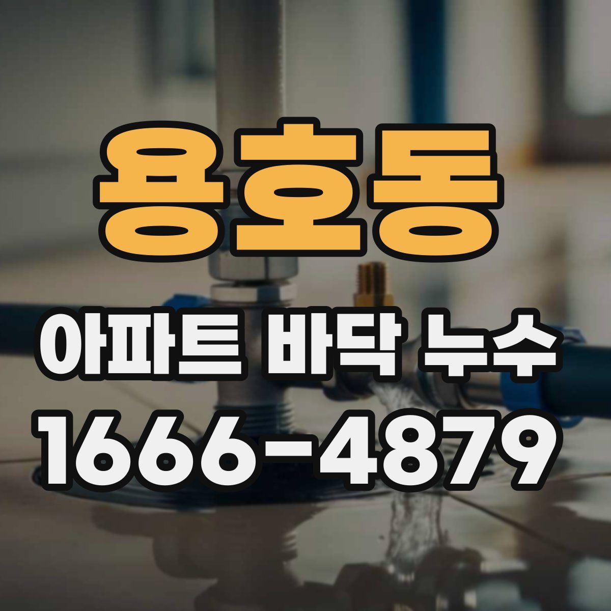 용호동 아파트 바닥 누수