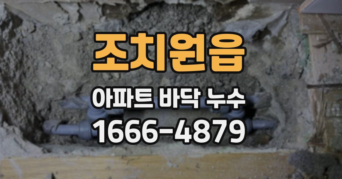 조치원읍 아파트 바닥 누수