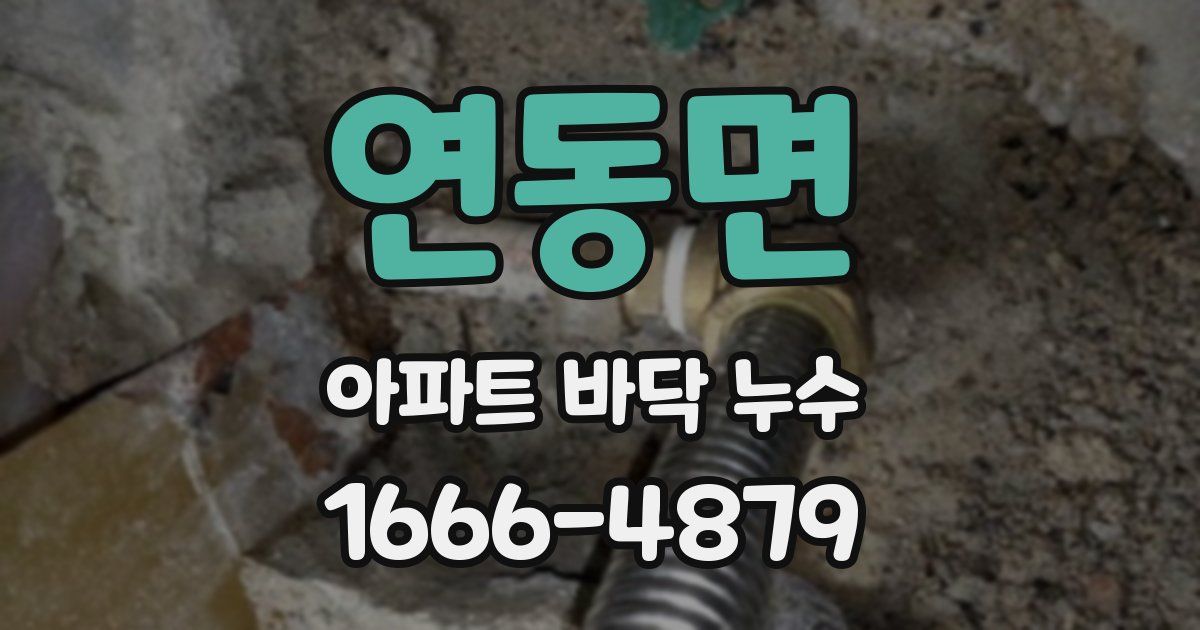 연동면 아파트 바닥 누수