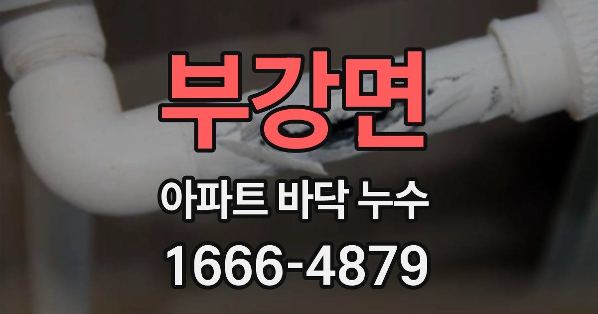 부강면 아파트 바닥 누수