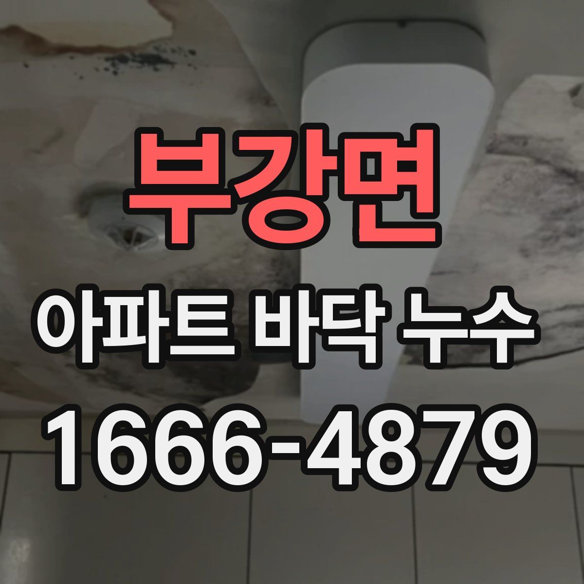 부강면 아파트 바닥 누수