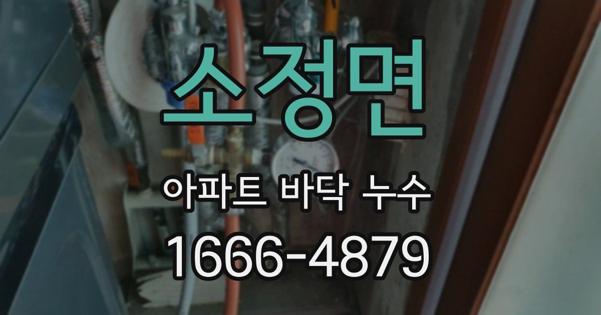 소정면 아파트 바닥 누수