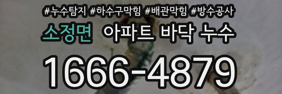 소정면 아파트 바닥 누수
