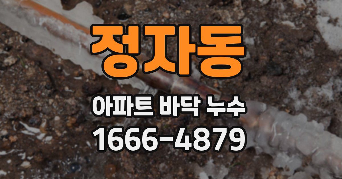 정자동 아파트 바닥 누수