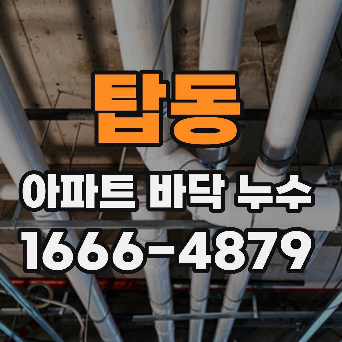 탑동 아파트 바닥 누수