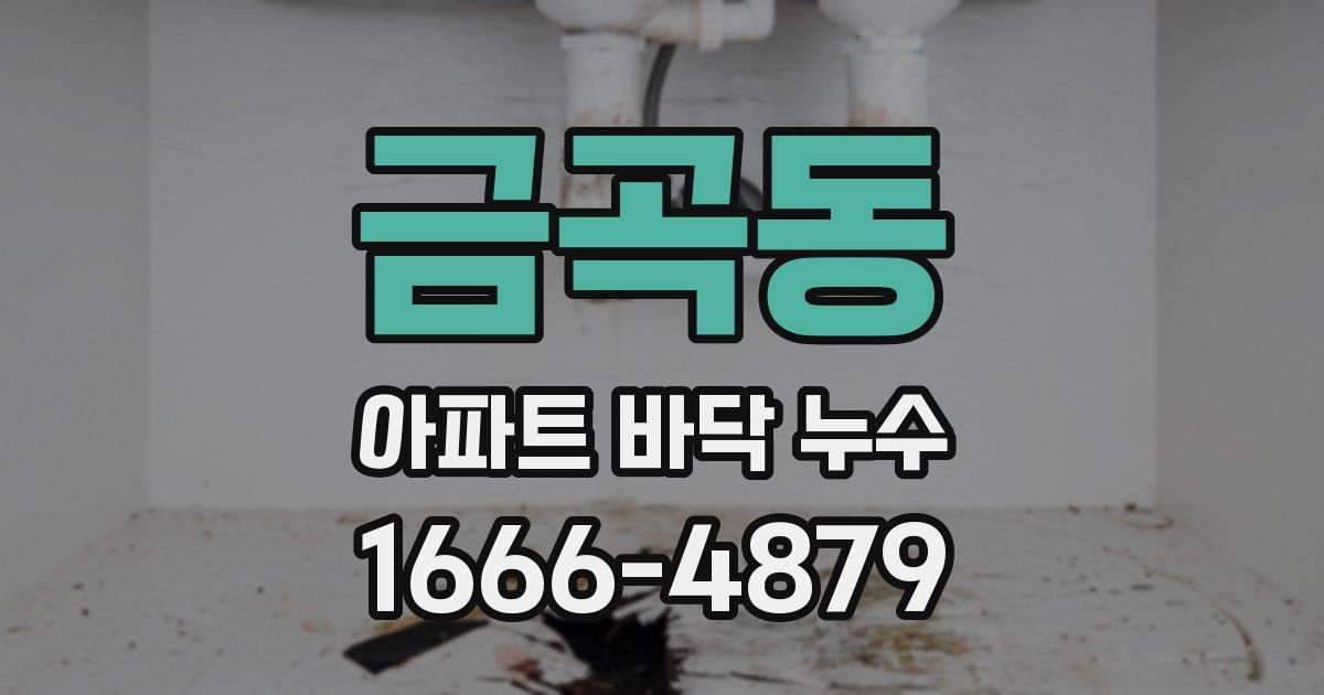 금곡동 아파트 바닥 누수