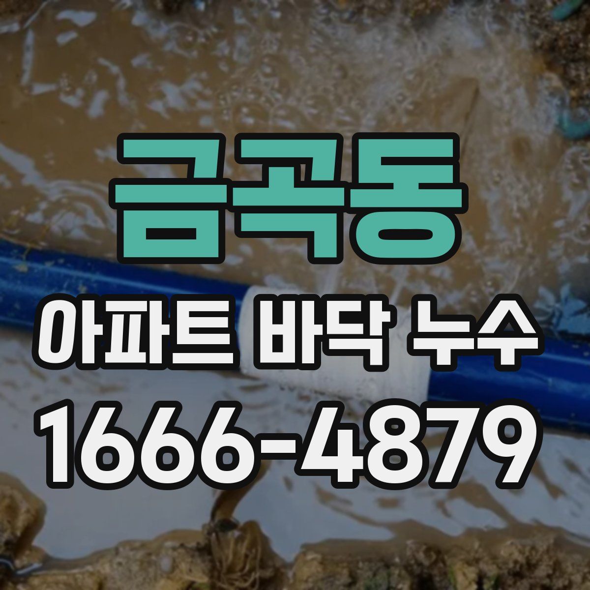 금곡동 아파트 바닥 누수