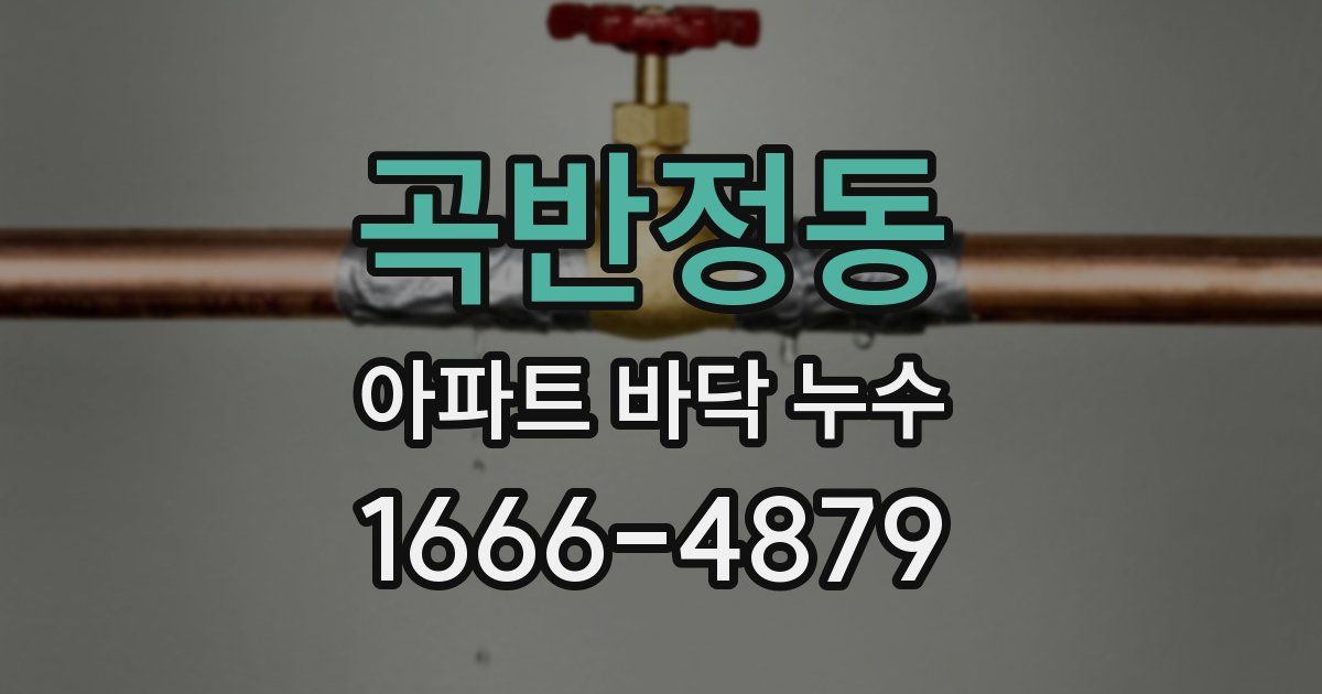 곡반정동 아파트 바닥 누수