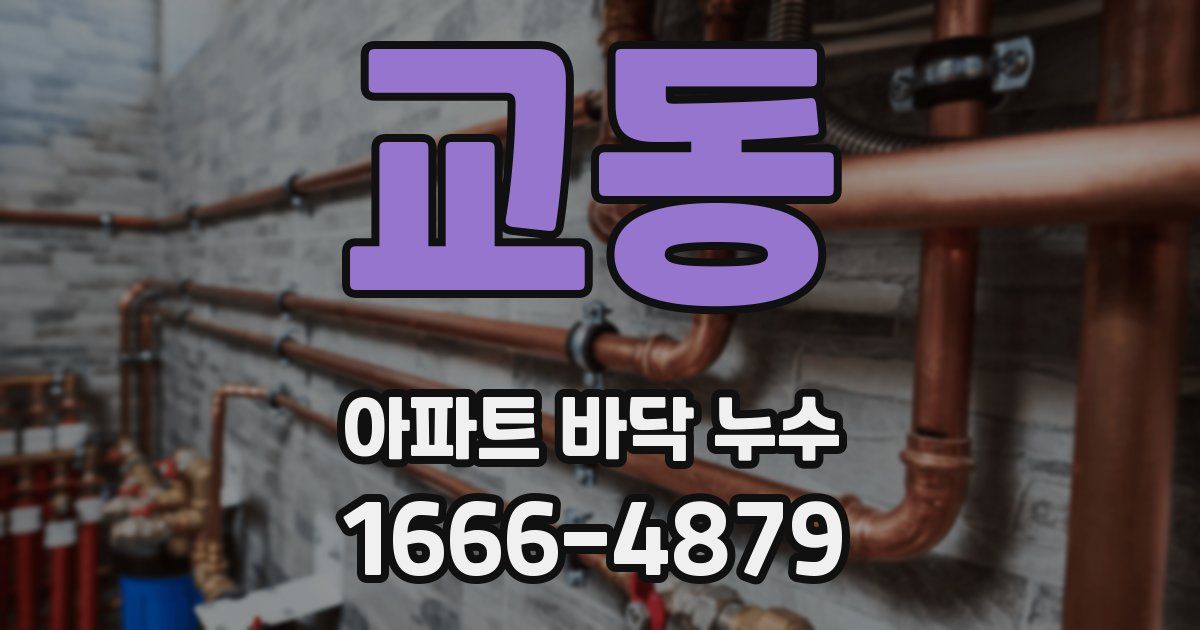 교동 아파트 바닥 누수