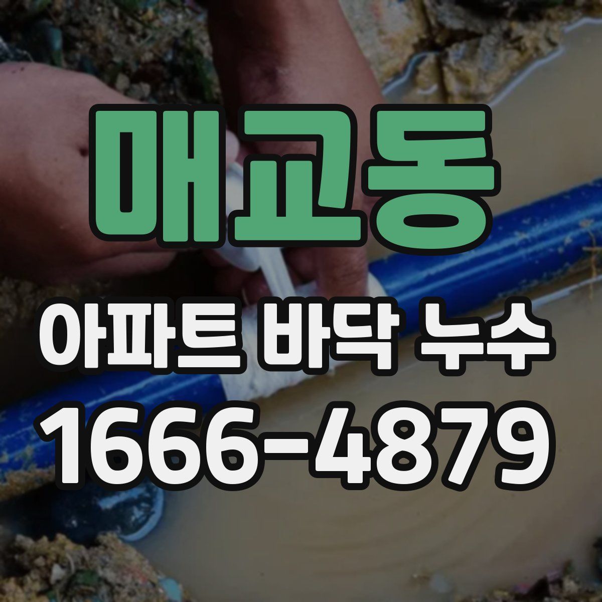 매교동 아파트 바닥 누수