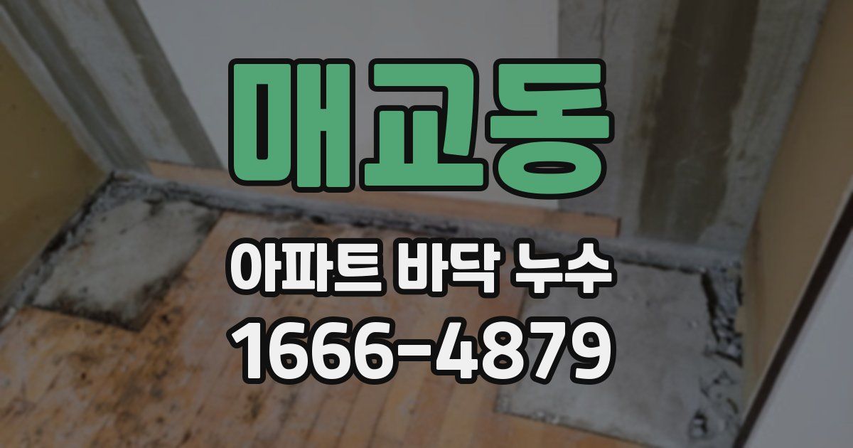 매교동 아파트 바닥 누수