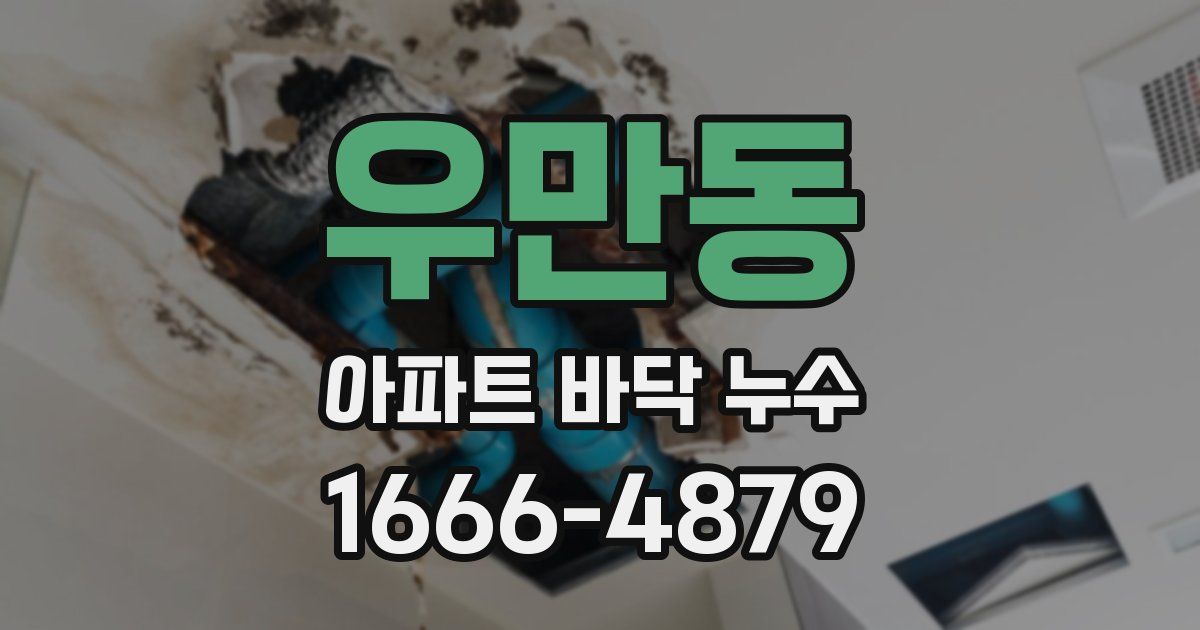 우만동 아파트 바닥 누수