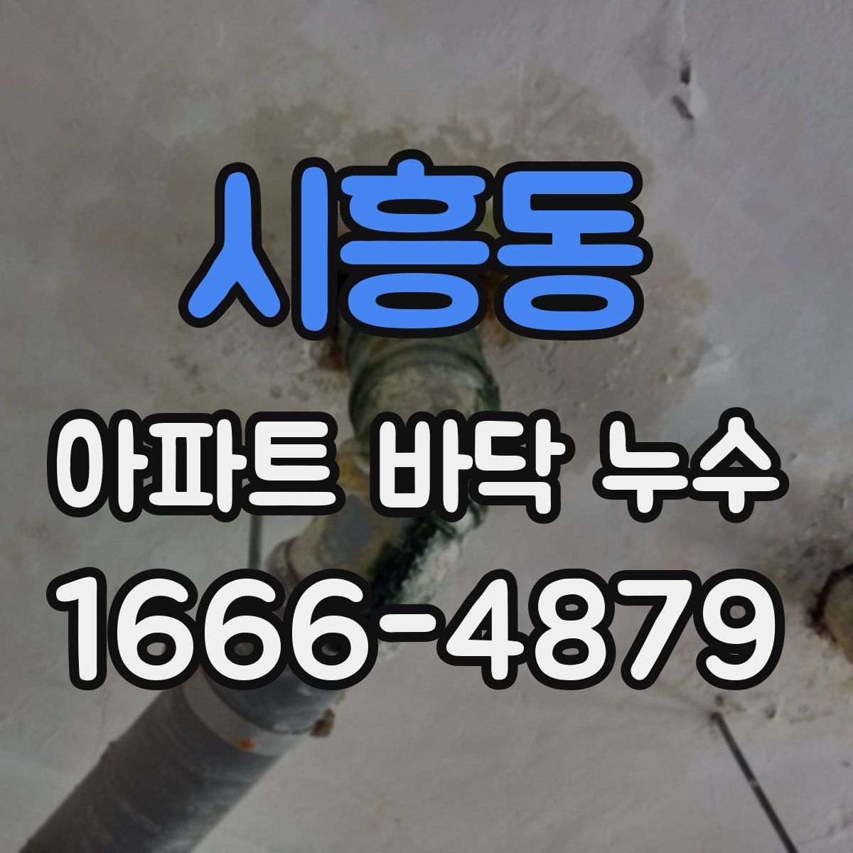 시흥동 아파트 바닥 누수