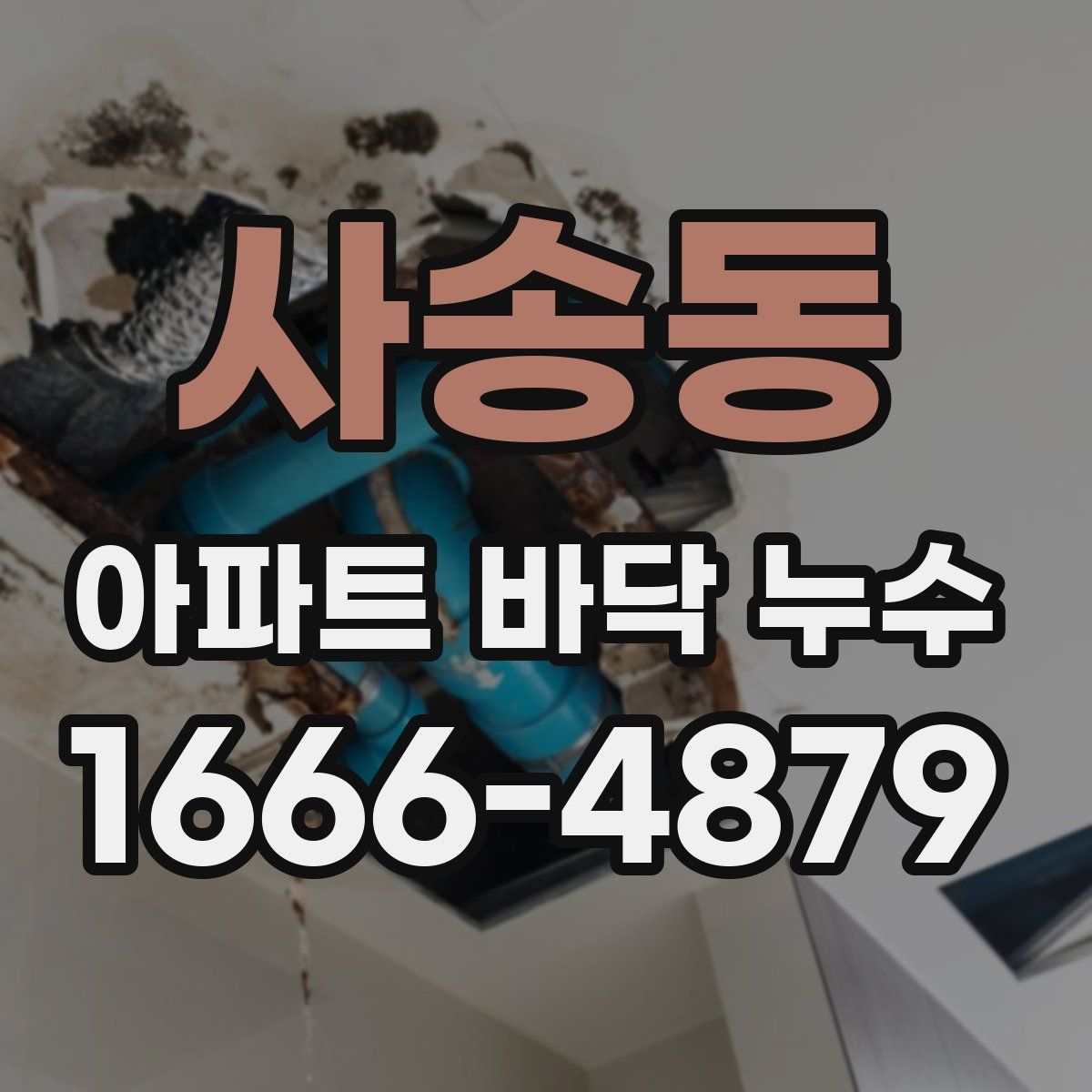 사송동 아파트 바닥 누수