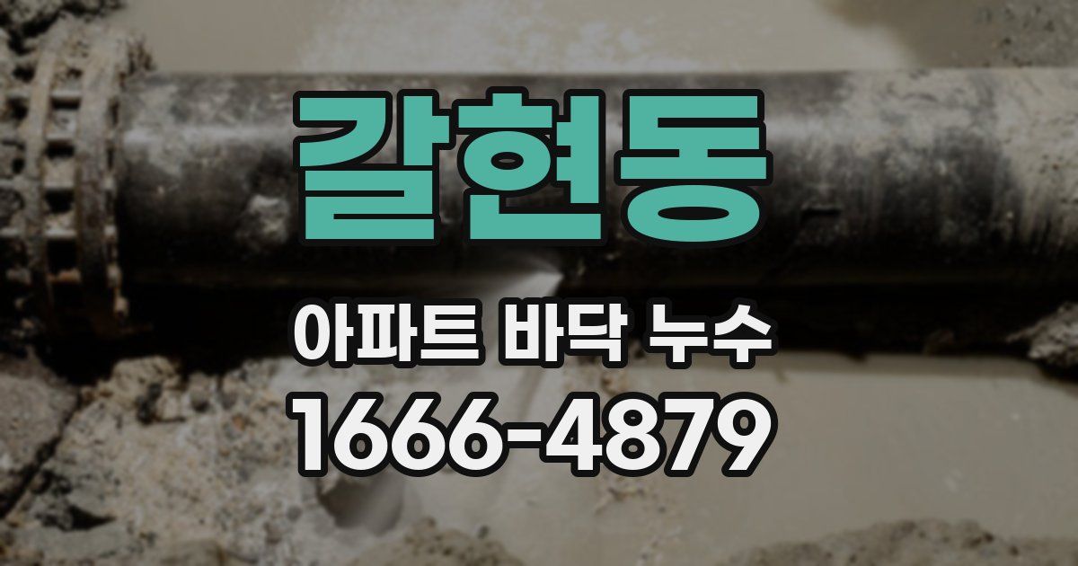 갈현동 아파트 바닥 누수