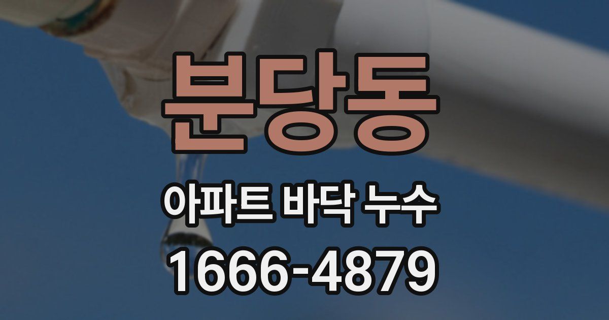 분당동 아파트 바닥 누수