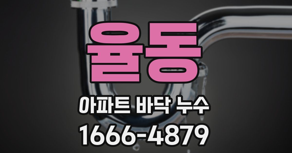 율동 아파트 바닥 누수