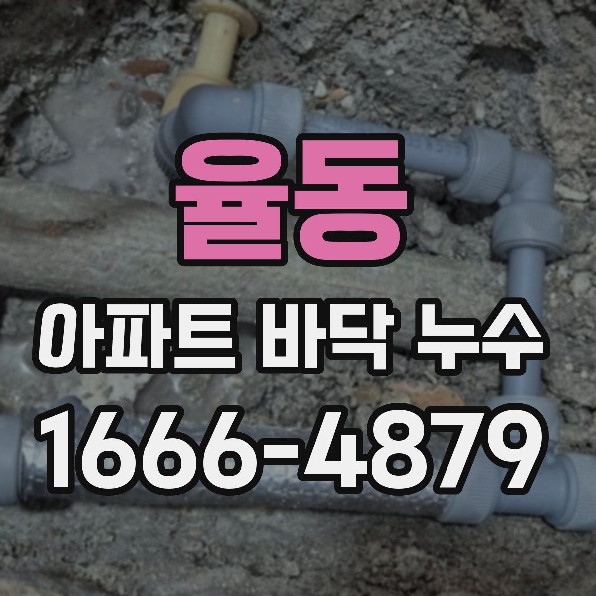 율동 아파트 바닥 누수