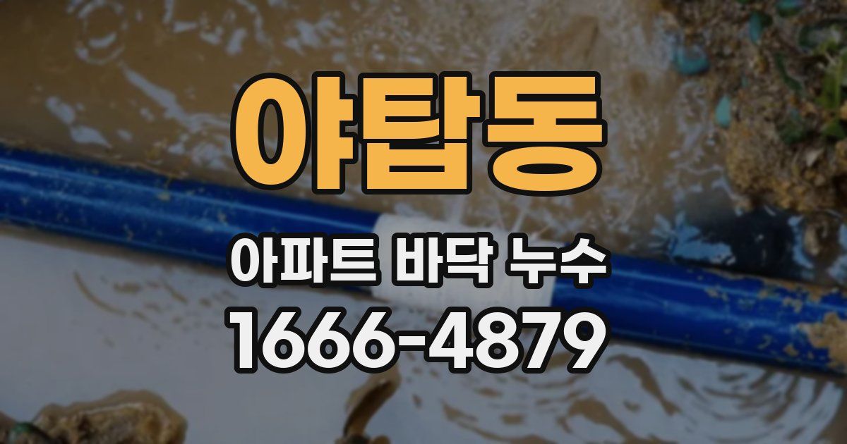 야탑동 아파트 바닥 누수