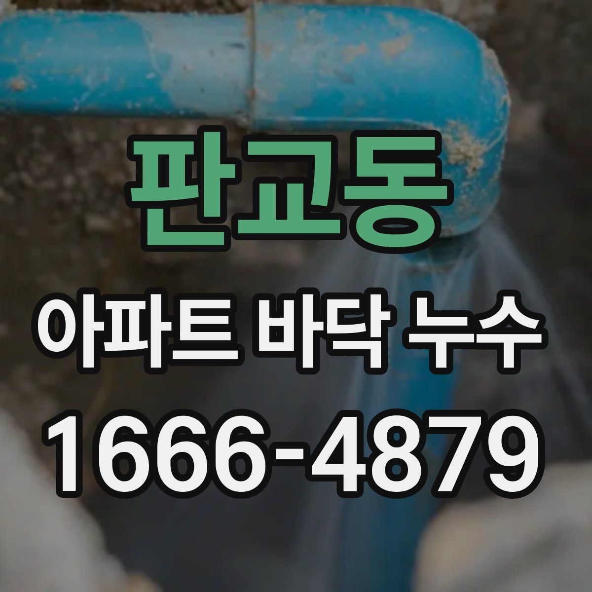 판교동 아파트 바닥 누수
