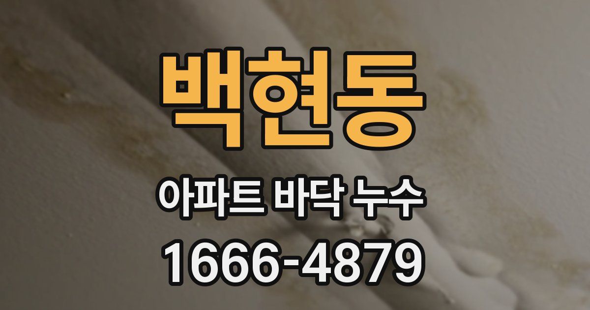 백현동 아파트 바닥 누수