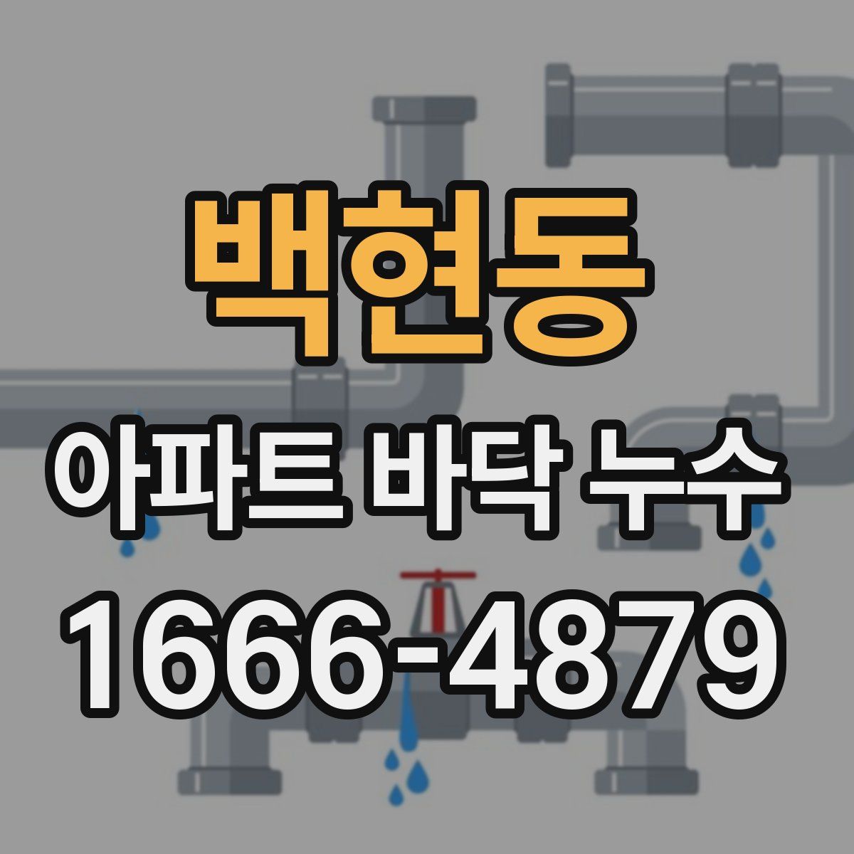 백현동 아파트 바닥 누수