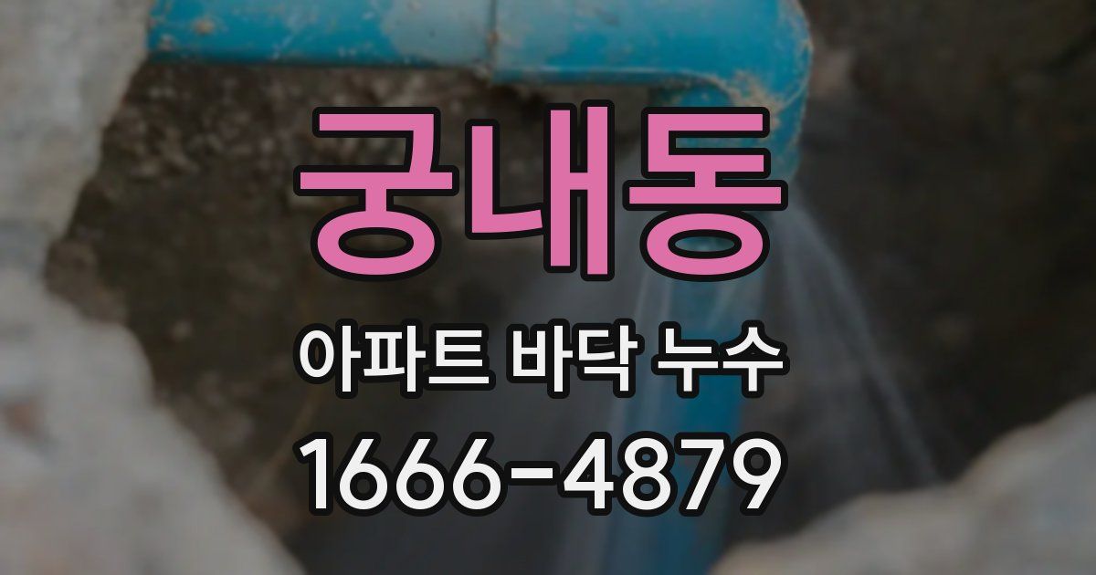 궁내동 아파트 바닥 누수