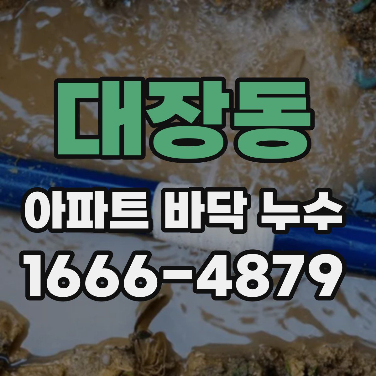 대장동 아파트 바닥 누수