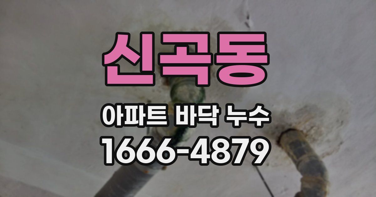 신곡동 아파트 바닥 누수