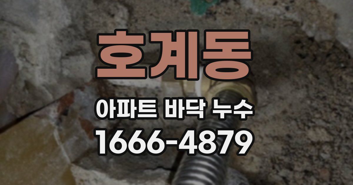 호계동 아파트 바닥 누수