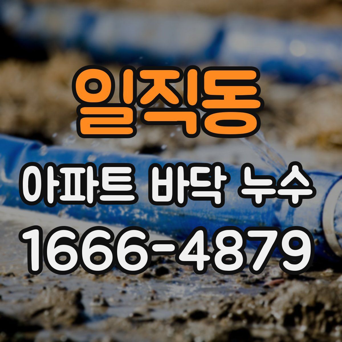 일직동 아파트 바닥 누수