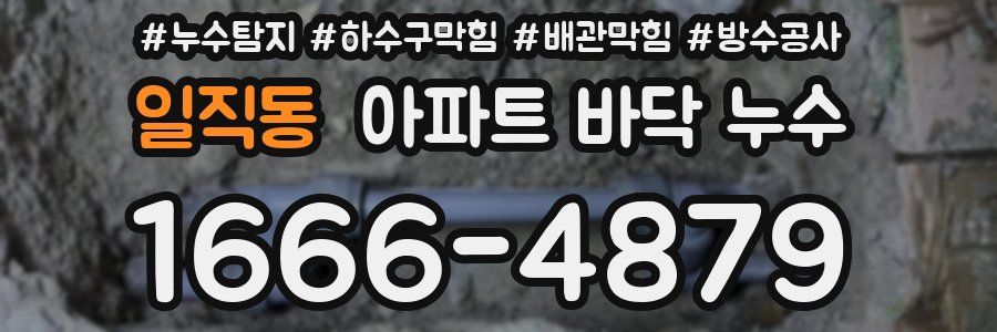 일직동 아파트 바닥 누수
