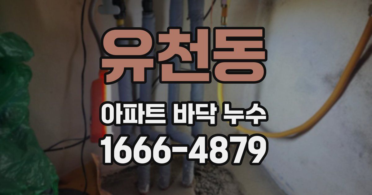 유천동 아파트 바닥 누수