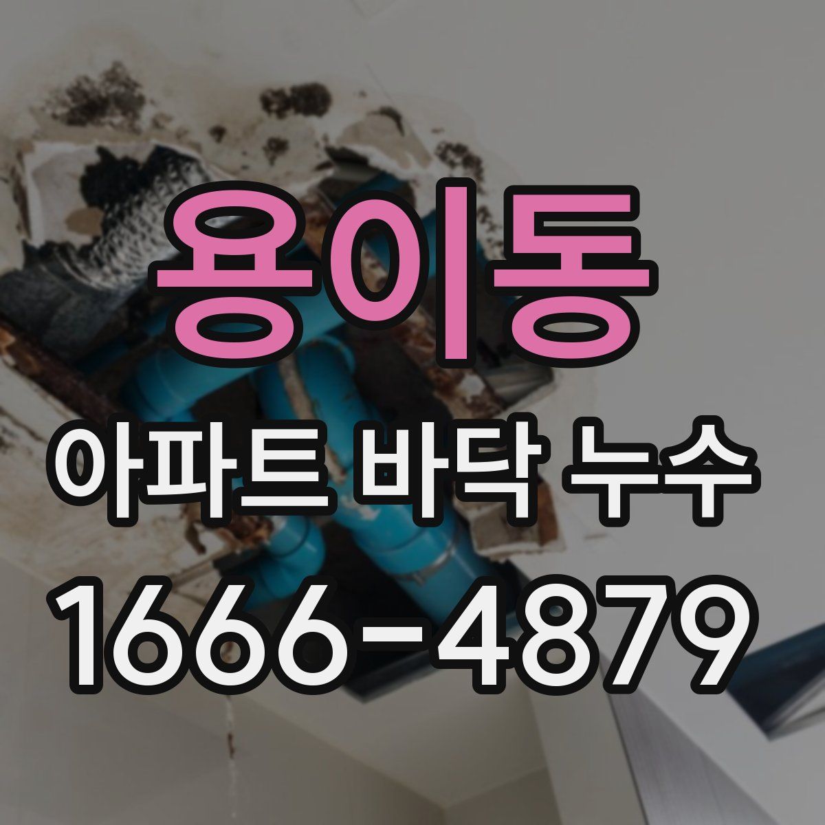 용이동 아파트 바닥 누수