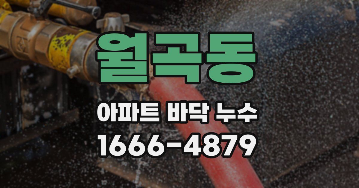 월곡동 아파트 바닥 누수