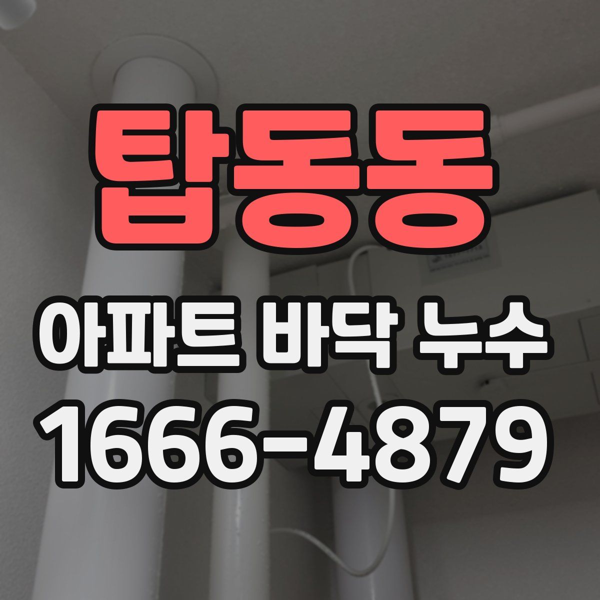 탑동동 아파트 바닥 누수