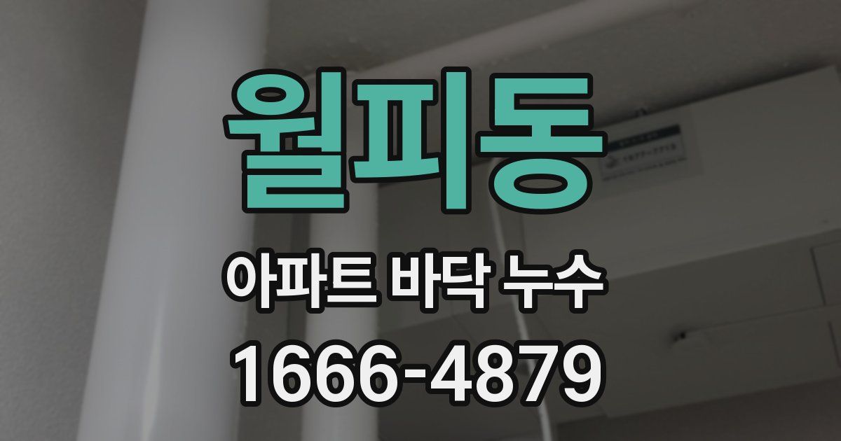 월피동 아파트 바닥 누수