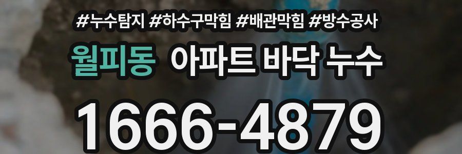 월피동 아파트 바닥 누수