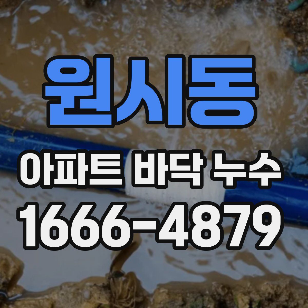 원시동 아파트 바닥 누수