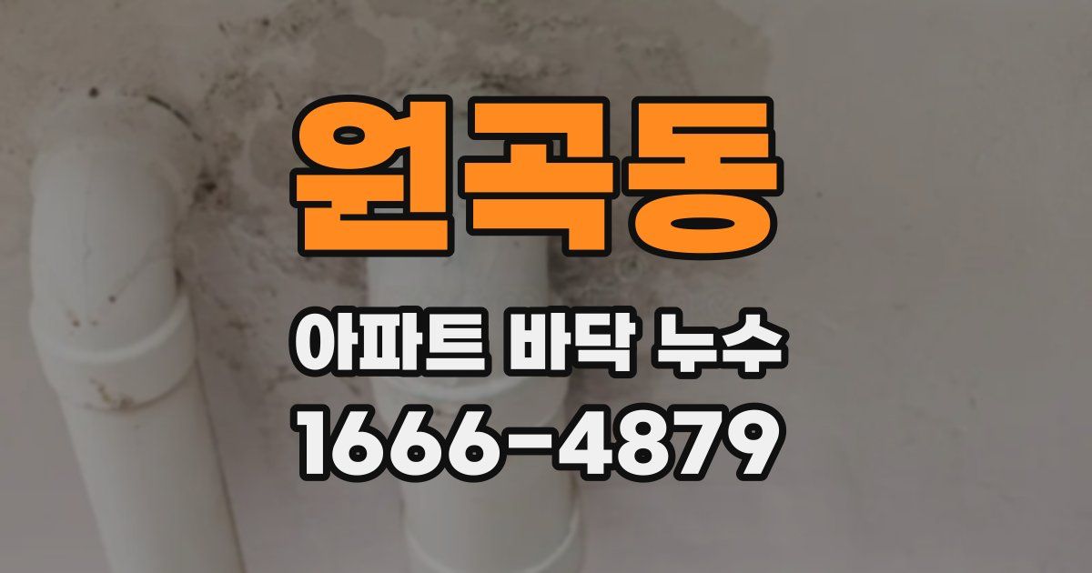원곡동 아파트 바닥 누수