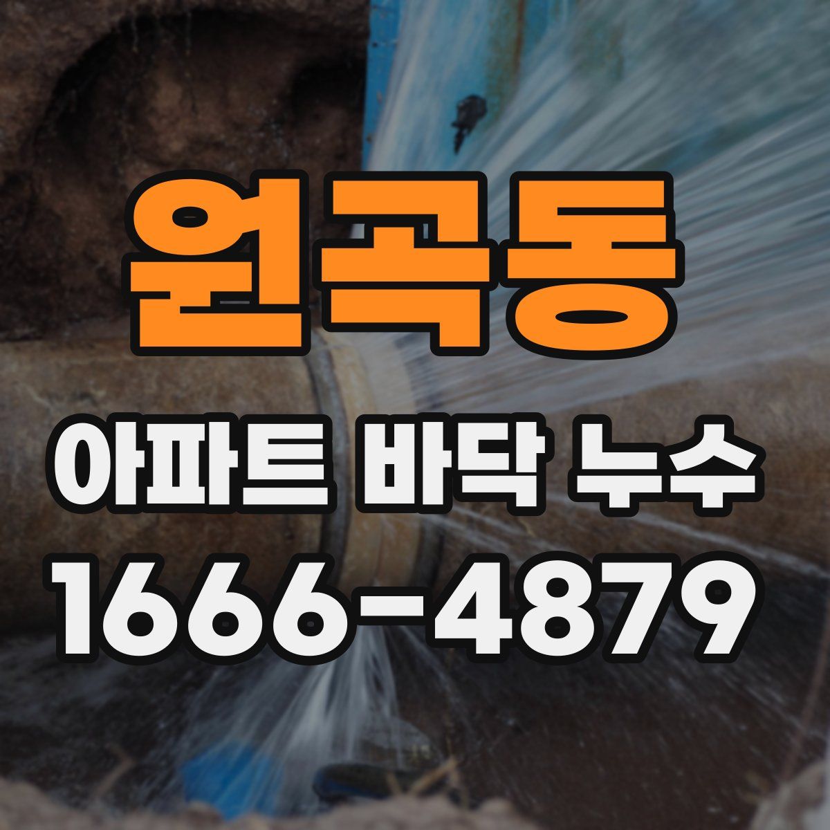 원곡동 아파트 바닥 누수