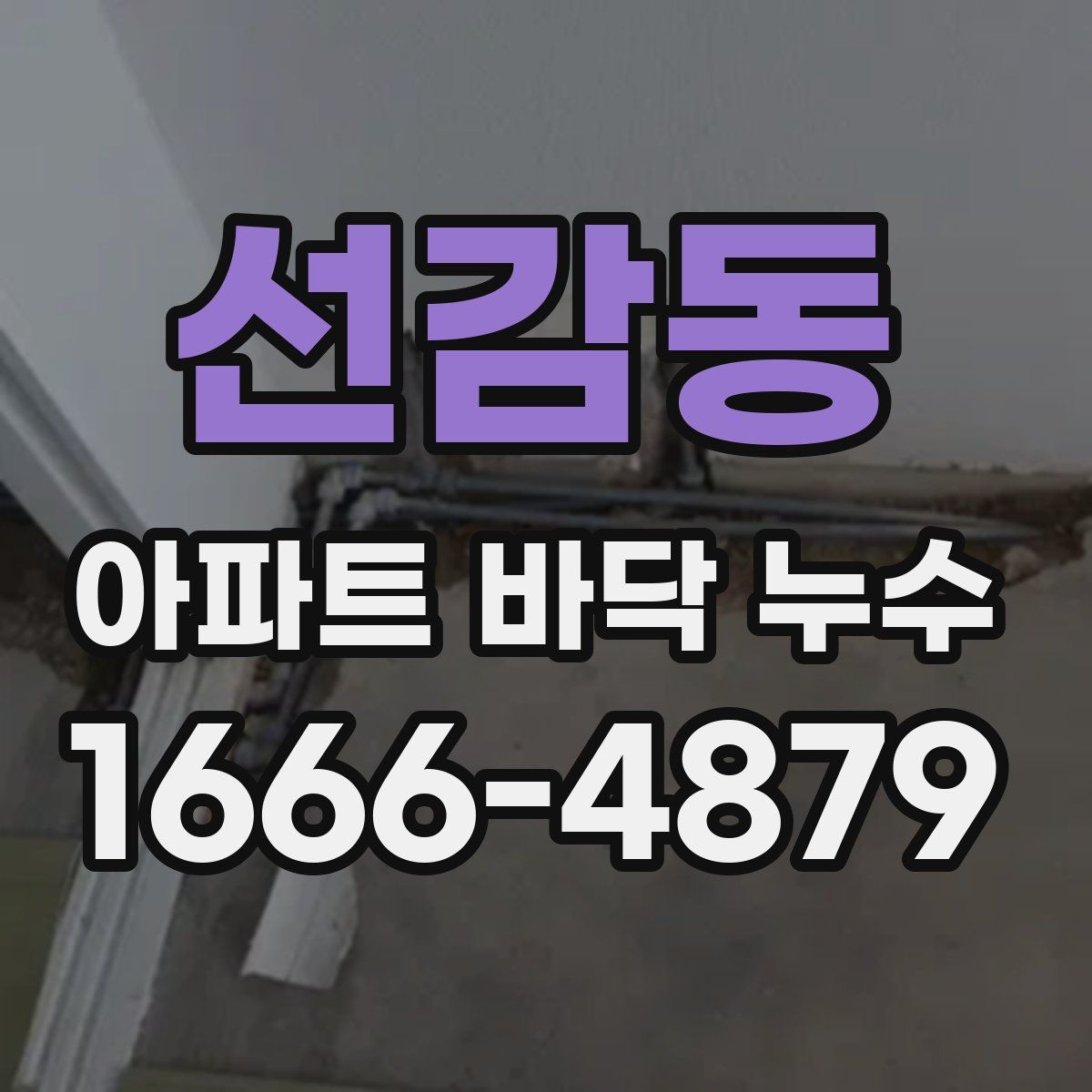선감동 아파트 바닥 누수