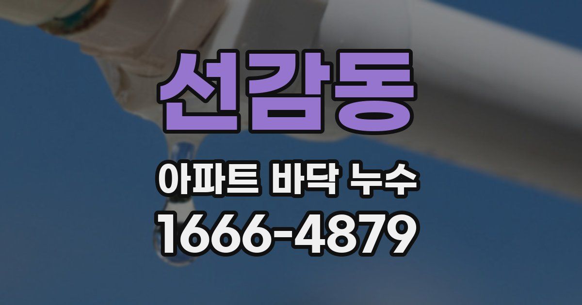 선감동 아파트 바닥 누수