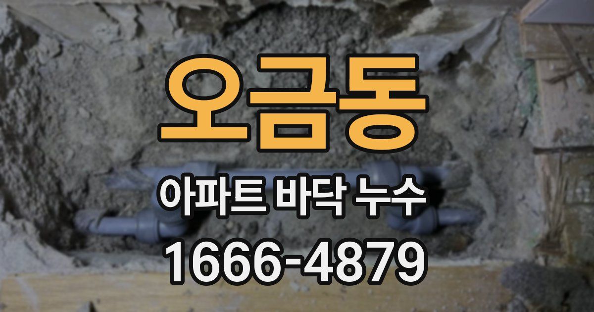 오금동 아파트 바닥 누수