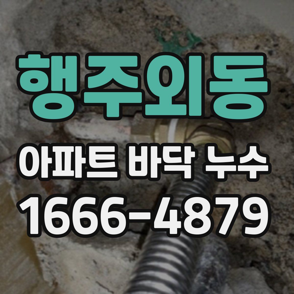 행주외동 아파트 바닥 누수