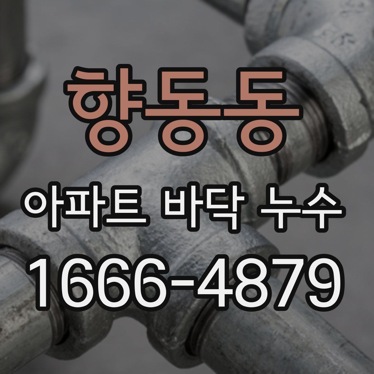 향동동 아파트 바닥 누수