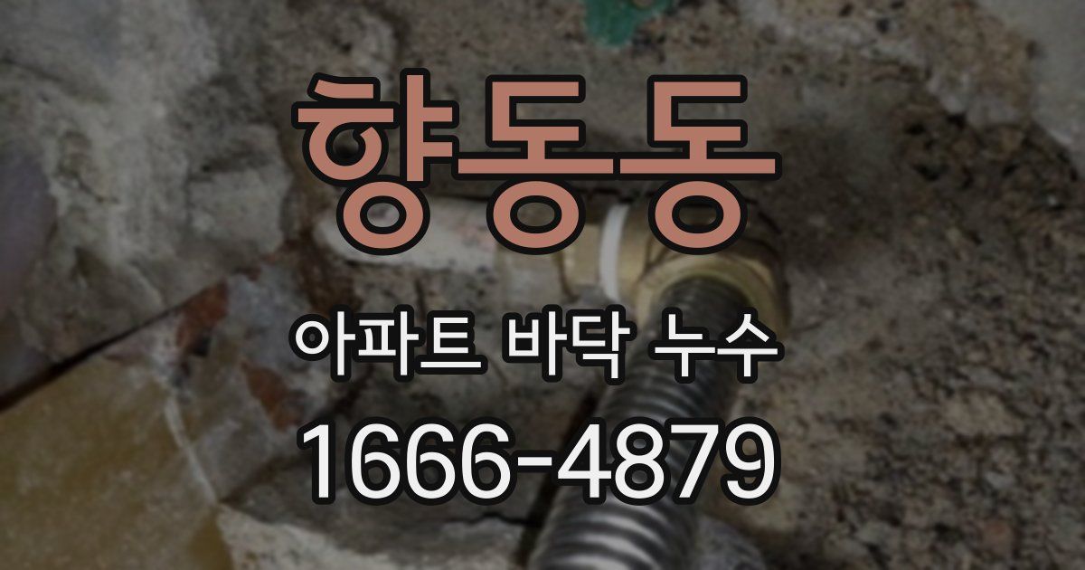 향동동 아파트 바닥 누수